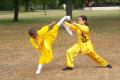 Shaolin Temple Academy image 4