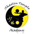Shaolin Temple Academy image 5