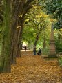 Sheffield General Cemetery image 1