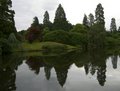 Sheffield Park Garden image 8