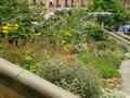 Sheffield Peace Gardens image 9