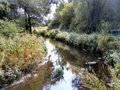 Sheldon Country Park image 3