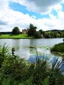 Sherborne Old Castle image 1