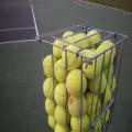 Sherborne Tennis Club image 7