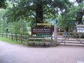 Sherwood Forest image 10