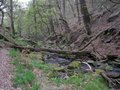 Shipley Glen Tramway image 2