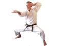 Shoto Ryu Karate logo