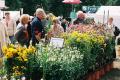 Shrewsbury Flower Show image 10