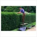 Shropshire Lawncare image 4