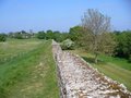 Silchester Roman City Walls and Amphitheatre logo