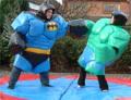 Sir Bouncealot Bouncy Castle Hire image 3