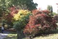 Sir Harold Hillier Gardens image 2