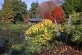 Sir Harold Hillier Gardens image 4