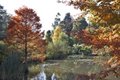 Sir Harold Hillier Gardens image 6