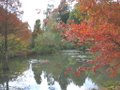 Sir Harold Hillier Gardens image 10