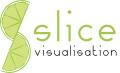 Slice Visualisation logo