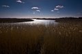 Snape Maltings image 8