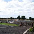 Solaria Equestrian Centre image 5