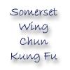 Somerset Wing Chun Kung Fu image 1
