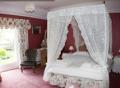 South Allington House Bed & Breakfast image 4