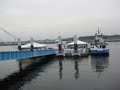 South Shields Ferry Terminal image 2