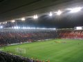 Southampton FC image 4