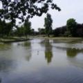 Southchurch Park image 4