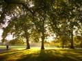 Southwark Park image 2