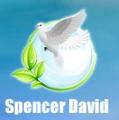 Spencer David Spiritualist Medium and Rieki Healer image 2