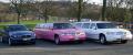 Splash Limousines White/Pink Limo Hire logo