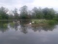 Springburn Park image 6