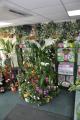 Springfield Flower Shop Low Fell. image 8