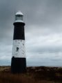 Spurn image 3