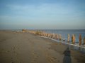 Spurn image 6