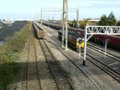 St Andrews Road Railway Station logo