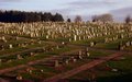 St Conval's Cemetery logo