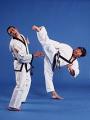 St Neots Martial Ars Club: Tang Sou Dao image 3
