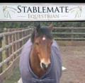 Stablemate Equestrian image 5