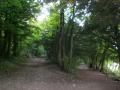 Stanmer Park image 2