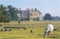 Stapleford Park image 6