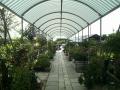 Staunton Garden Centre image 2