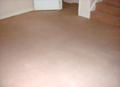 Steven Browns Carpet and Upholstery Cleaning Service Ltd image 3