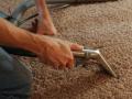 Steven Browns Carpet and Upholstery Cleaning Service Ltd logo