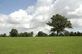 Stockwood Park image 1