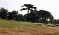 Stoke Park Club image 9