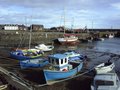 Stonehaven Harbour Office image 7
