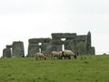 Stonehenge image 3