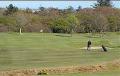 Stornoway Golf Club image 5