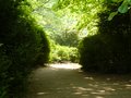 Stourhead image 5