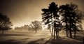 Stowmarket Golf Club Limited image 4
